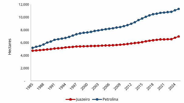 Figura 2 – Área Urbanizada em Petrolina (PE) e Juazeiro
(BA)